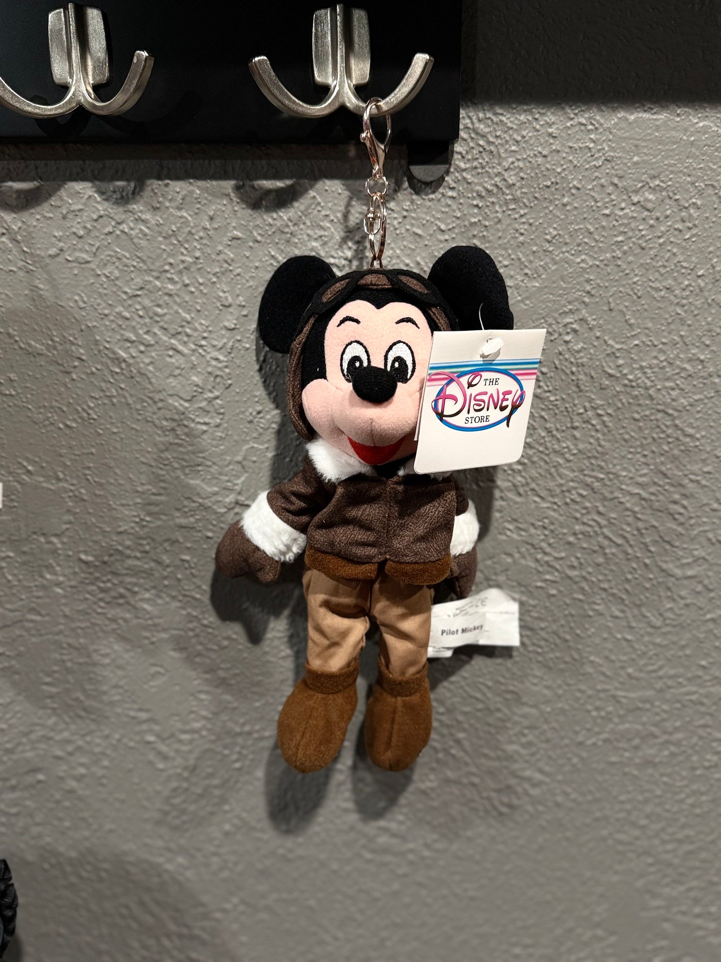Pilot Mickey