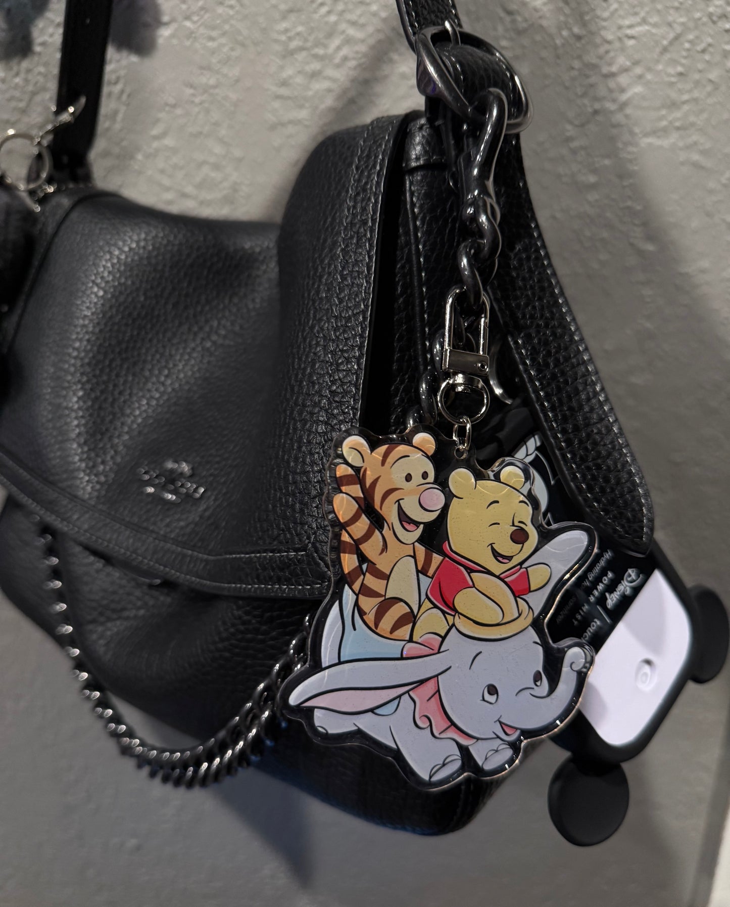 Flying Pooh & Tiger